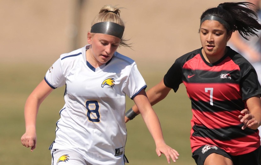 Golden Eagles, Grizzlies play to 2-2 draw