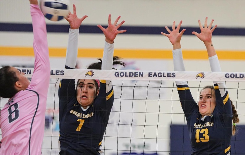 Golden Eagles Downed by Plainswomen